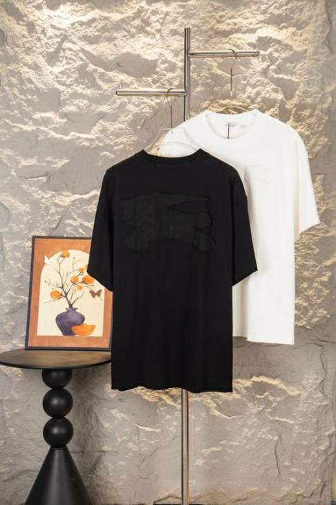 Picture of Burberry T Shirts Short _SKUBurberryS-XLxetr21419411